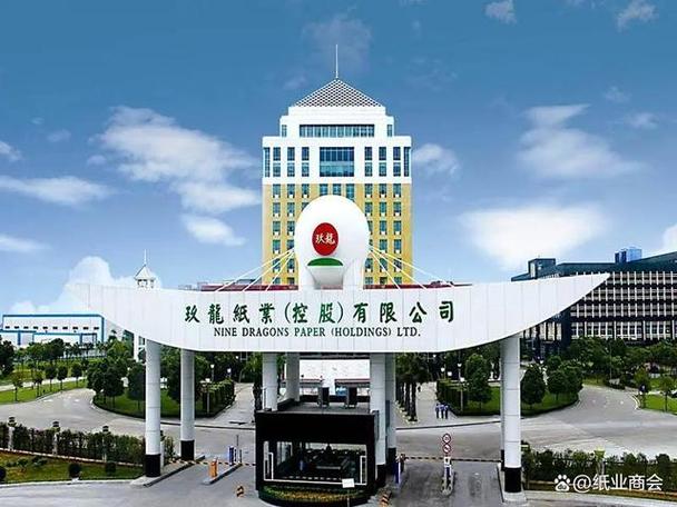项目名称为林浆纸一体化扩建项目(变更),建设地点为湖北荆州市监利县