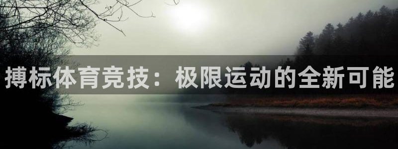 凯发官方正版app集团简介：搏标体育竞技：极限运动的