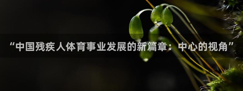 凯发官方正版app五金厂：“中国残疾人体育事业发展的