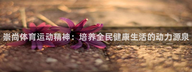 凯发官方正版app娱乐网站：崇尚体育运动精神：培养全