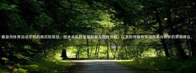 凯发官方正版app代理：泰安市体育运动学校的概况和现