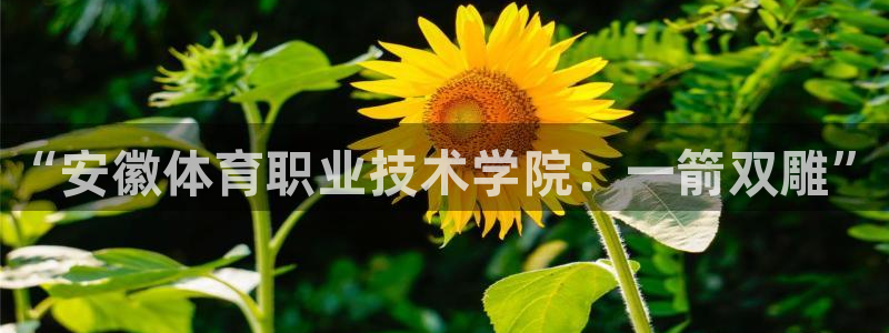 凯发官网下载招商：“安徽体育职业技术学院：一箭双雕”