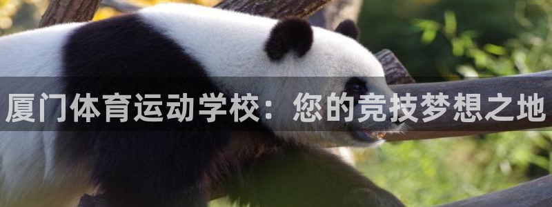 凯发官方正版app娱乐40996：厦门体育运动学校：