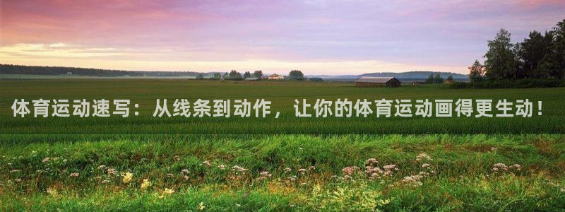 凯发官方正版app娱乐平台：体育运动速写：从线条到动