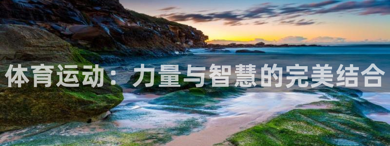 凯发官网下载平台注册流程视频：体育运动：力量与智慧的