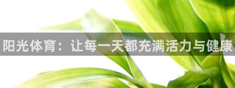 凯发官方正版app集团官网首页：阳光体育：让每一天都充满活力