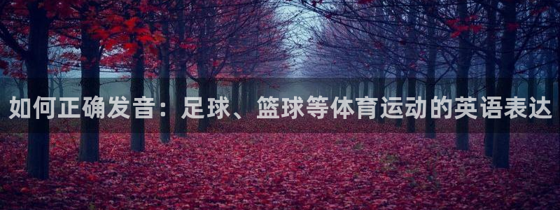 凯发官方正版app娱乐下载：如何正确发音：足球、篮球