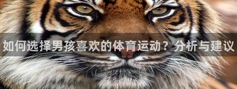 凯发官网下载娱乐：如何选择男孩喜欢的体育运动？分析与