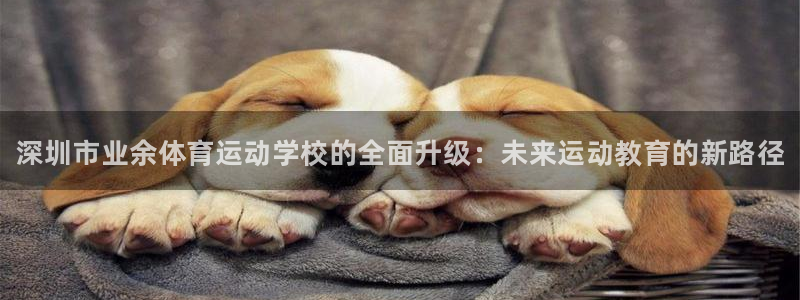 凯发官网下载：深圳市业余体育运动学校的全面升级：未来