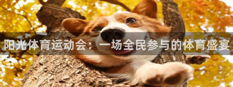 凯发官方正版app集团官网首页：阳光体育运动会：一场