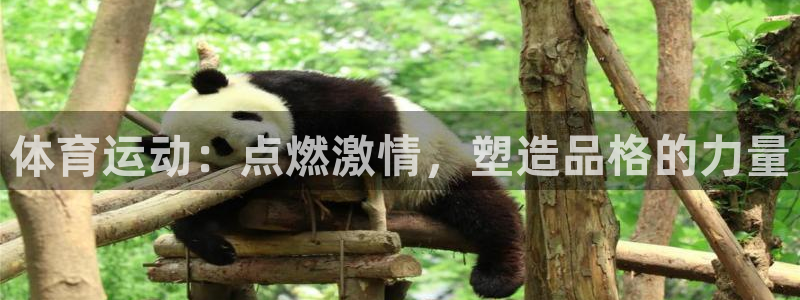 凯发官方正版app娱乐平台：体育运动：点燃激情，塑造品格的力