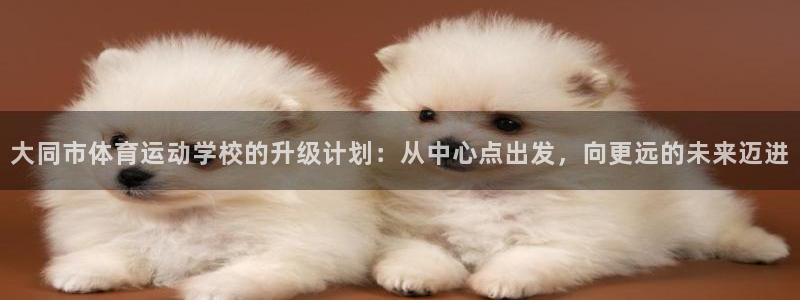 凯发官网下载注册：大同市体育运动学校的升级计划：从中