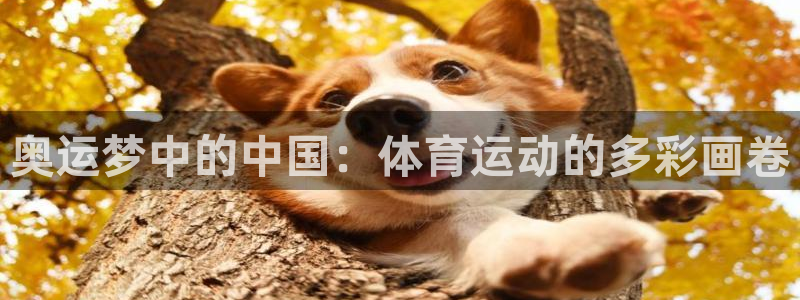 凯发官方正版app集团：奥运梦中的中国：体育运动的多