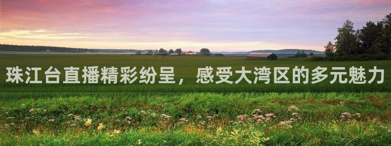 体育178直播：珠江台直播精彩纷呈，感受大湾区的多元魅力