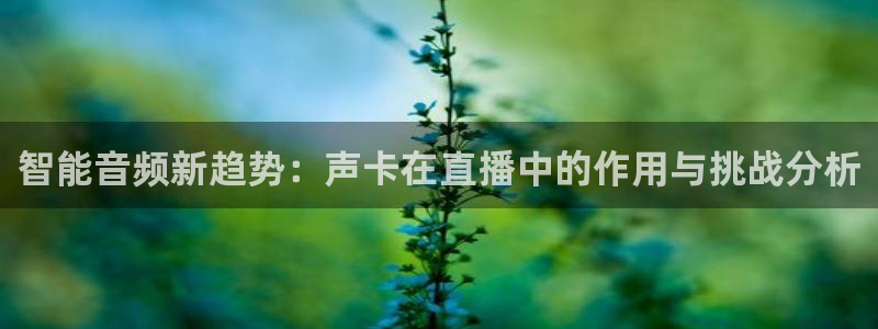 178直播网：智能音频新趋势：声卡在直播中的作用与挑战分析