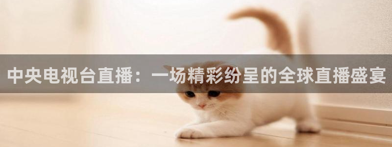 178篮球直播体育赛事官网：中央电视台直播：一场精彩纷呈的全球直播盛宴