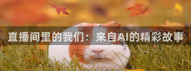 178体育直播下载：直播间里的我们：来自AI的精彩故事