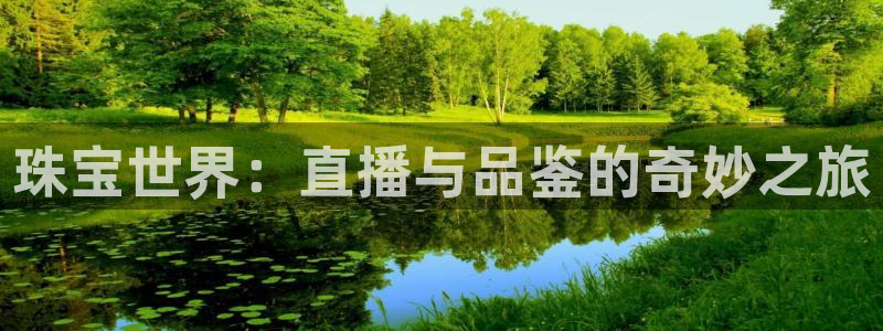 体育直播178在线观看免费：珠宝世界：直播与品鉴的奇妙之旅