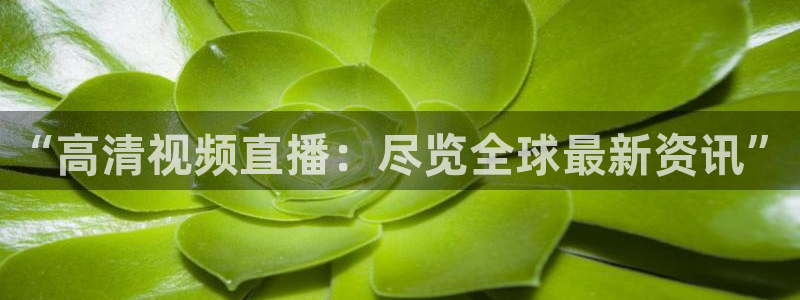 178直播体育足球：“高清视频直播：尽览全球最新资讯”