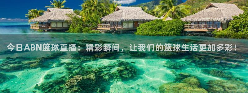 178体育免费直播视频：今日ABN篮球直播：精彩瞬间，让我们的篮球生活更加多彩！