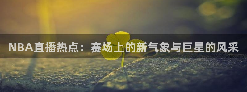 178体育赛事直播app下载：NBA直播热点：赛场上的新气象与巨星的风采