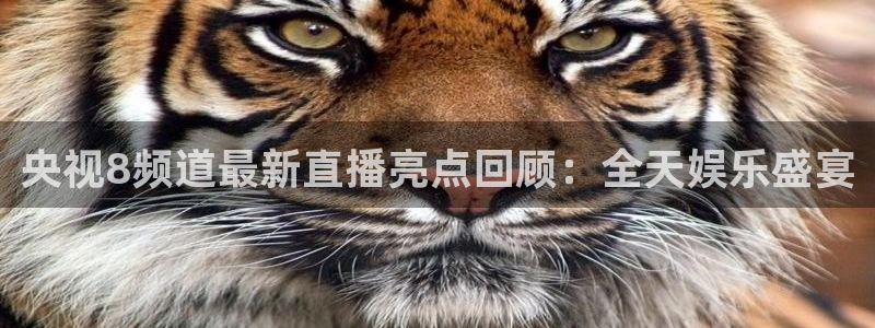 178体育app官网下载比赛直播：央视8频道最新直播亮点回顾：全天娱乐盛宴