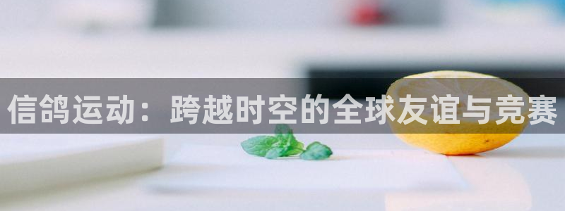 足球直播178在线直播：信鸽运动：跨越时空的全球友谊与竞赛